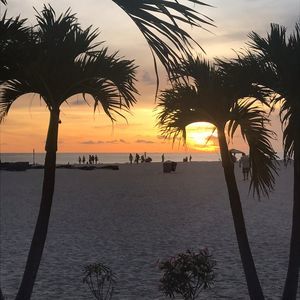 Meet your Posher, Jerryjoni